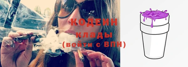 индика Сатка