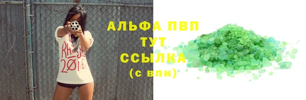 индика Сатка