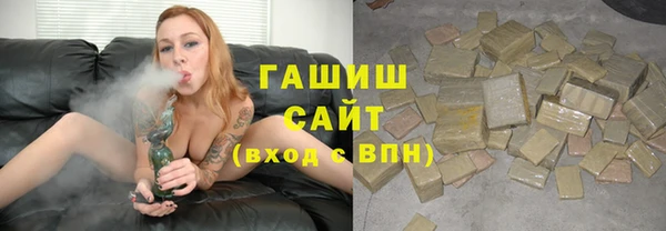 индика Сатка