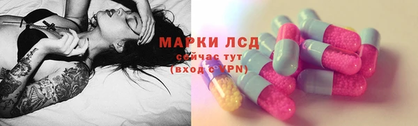 индика Сатка