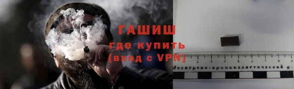 индика Сатка