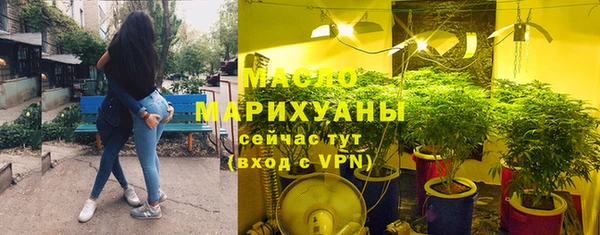 индика Сатка
