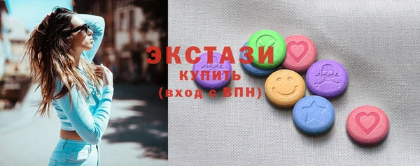 индика Сатка