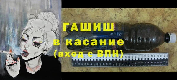 индика Сатка